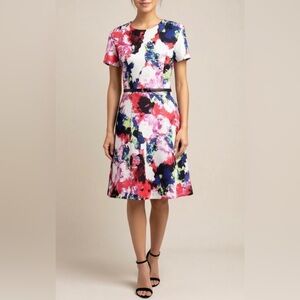 Milly for Design Nation Rosabella Dress